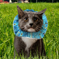 Load image into Gallery viewer, Bejeweled Stripes Birdsbesafe® Collar Cover