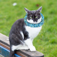 Load image into Gallery viewer, Bejeweled Stripes Birdsbesafe® Collar Cover