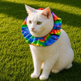 Load image into Gallery viewer, Cassidy Tie-Dye Birdsbesafe ® Collar Cover
