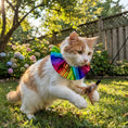 Load image into Gallery viewer, Cosmic Stripes Birdsbesafe ® Collar Cover