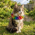 Load image into Gallery viewer, Cosmic Stripes Birdsbesafe ® Collar Cover - Long-Haired Cat Style