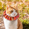 Load image into Gallery viewer, Paint Loops Birdsbesafe ® Collar Cover