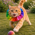 Load image into Gallery viewer, Rainbow Billy Birdsbesafe ® Collar Cover