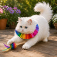 Load image into Gallery viewer, Rainbow Billy Birdsbesafe ® Collar Cover - Long-Haired Cat Style