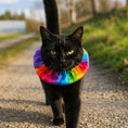 Load image into Gallery viewer, Rainbow Charlie Birdsbesafe ® Collar Cover