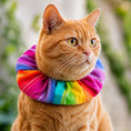 Load image into Gallery viewer, Rainbow Charlie Birdsbesafe ® Collar Cover