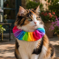 Load image into Gallery viewer, Rainbow Charlie Birdsbesafe ® Collar Cover - Long-Haired Cat Style