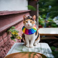 Load image into Gallery viewer, Rainbow Sally Birdsbesafe ® Collar Cover