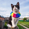 Load image into Gallery viewer, Rainbow Sally Birdsbesafe ® Collar Cover