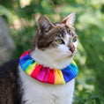 Load image into Gallery viewer, Rainbow Sally Birdsbesafe ® Collar Cover