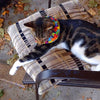 5 Set Birdsbesafe Covers + 1 Breakaway Cat Collar
