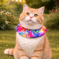 Load image into Gallery viewer, Suzy Swirls Birdsbesafe ® Collar Cover