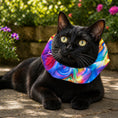 Load image into Gallery viewer, Suzy Swirls Birdsbesafe ® Collar Cover