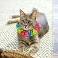 Load image into Gallery viewer, Tribal Stripes Birdsbesafe ® Collar Cover
