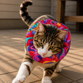 Load image into Gallery viewer, Wavy Wayn Birdsbesafe ® Collar Cover