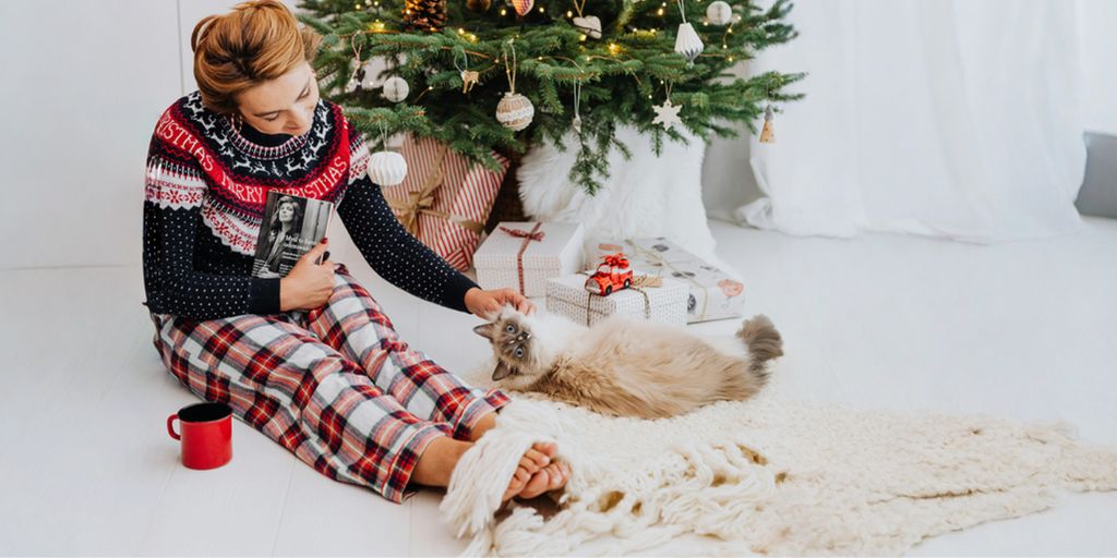 2025 Holiday Gift Guide 15 Christmas Presents for Cat Lovers and their Cats