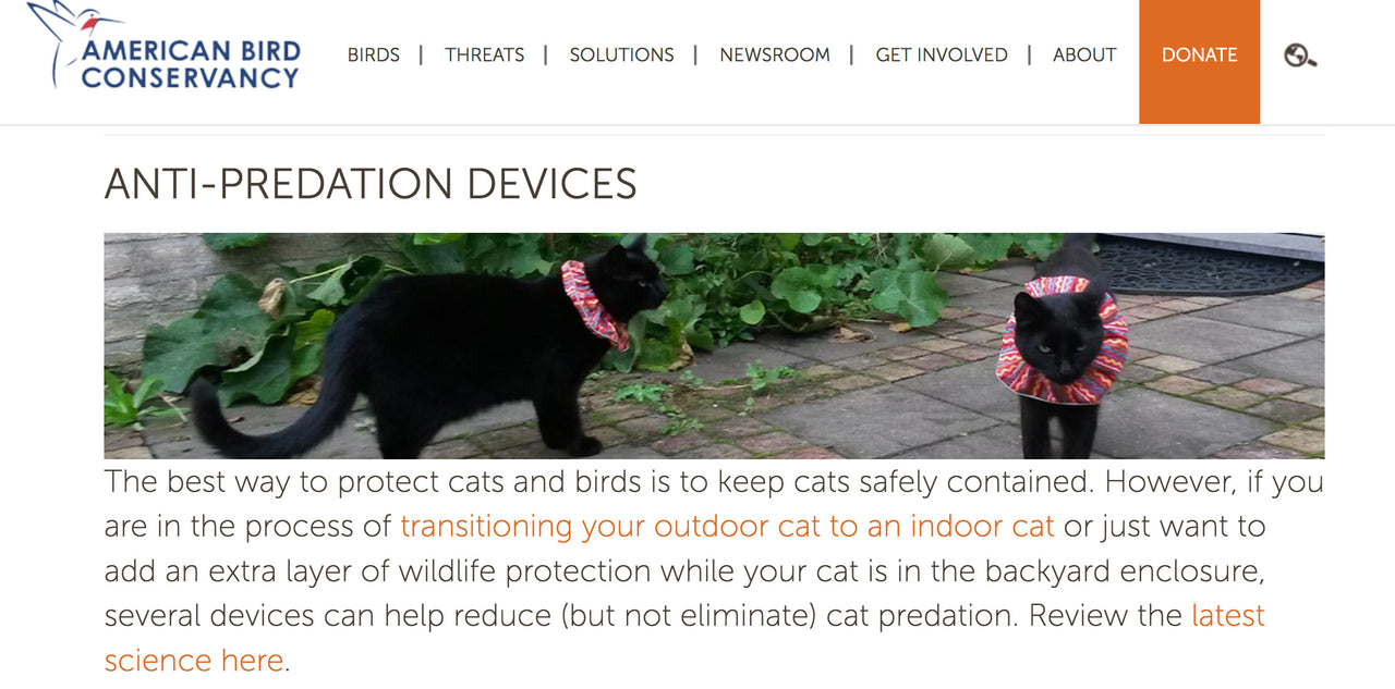 American Bird Conservancy Recommends Birdsbesafe