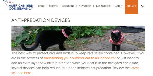 American Bird Conservancy Recommends Birdsbesafe