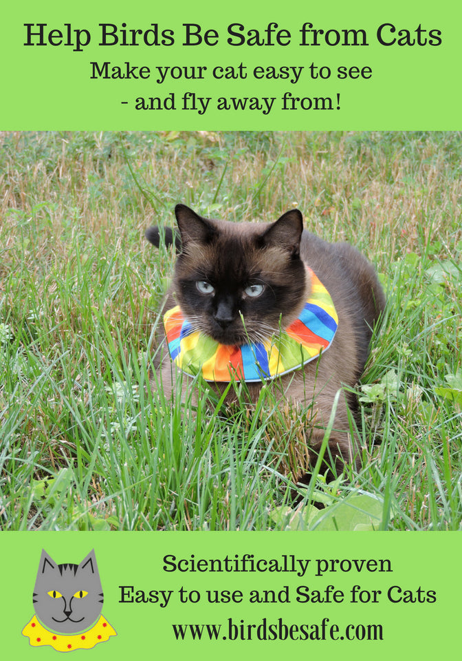 Australia and New Zealand: Pausing Shipping Again - Oct. 20