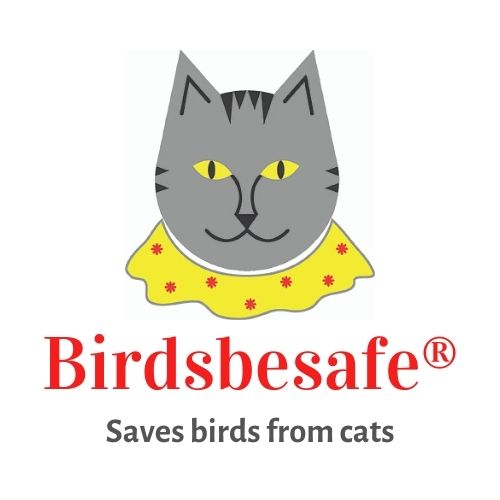 Birdsbesafe® cat collar covers in Newsweek!