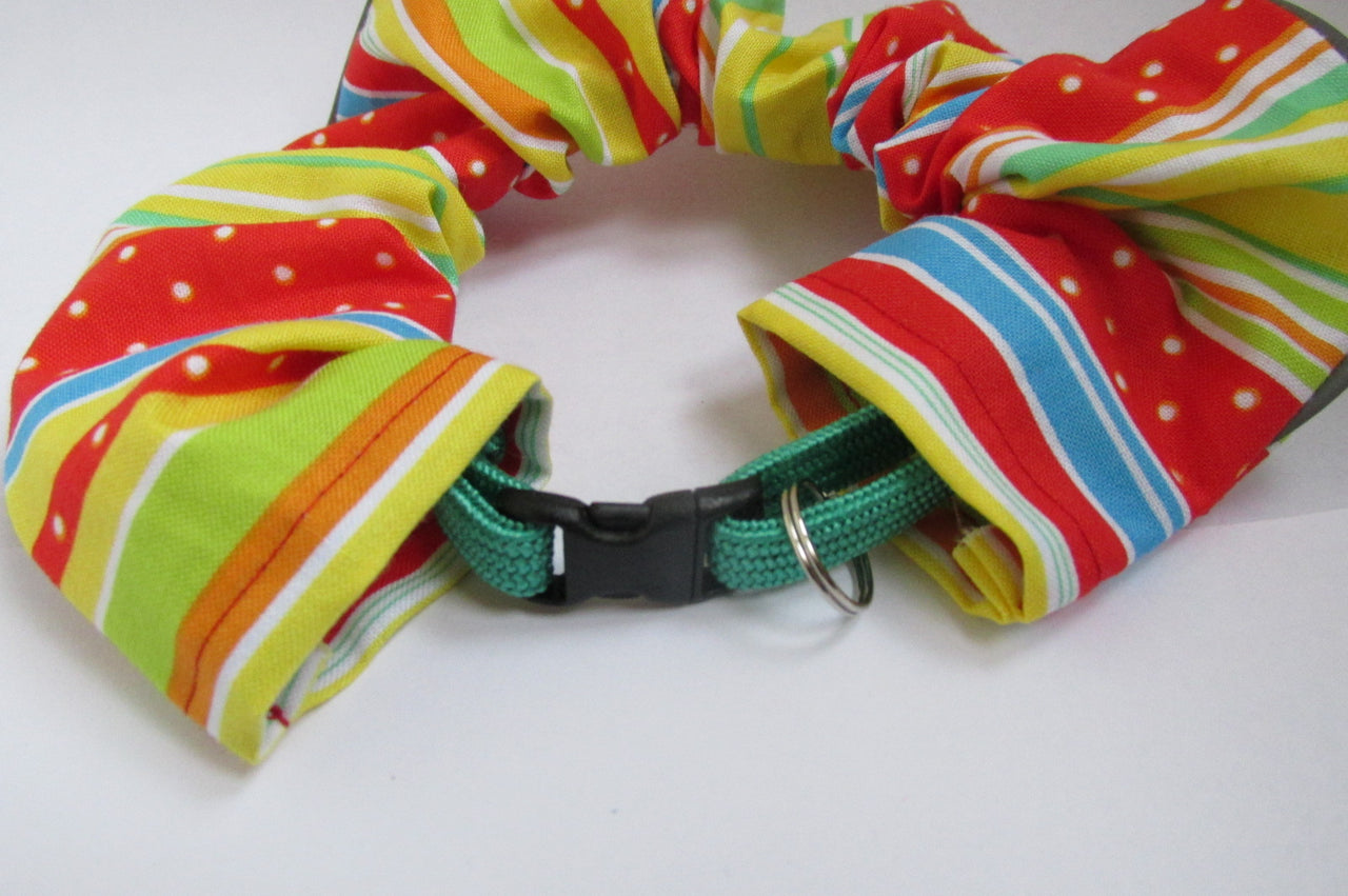 Buying a Breakaway Cat Collar