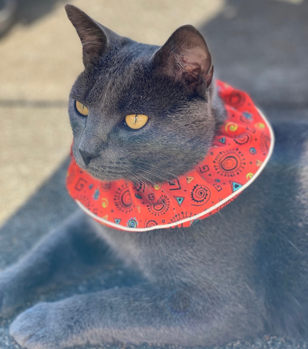 Lovely Feline with Birdsbesafe cat collar cover