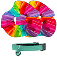 Load image into Gallery viewer, 2-Pack Birdsbesafe Rainbow Charlie Regular & Long-Haired Covers + 1 Breakaway Cat Collar
