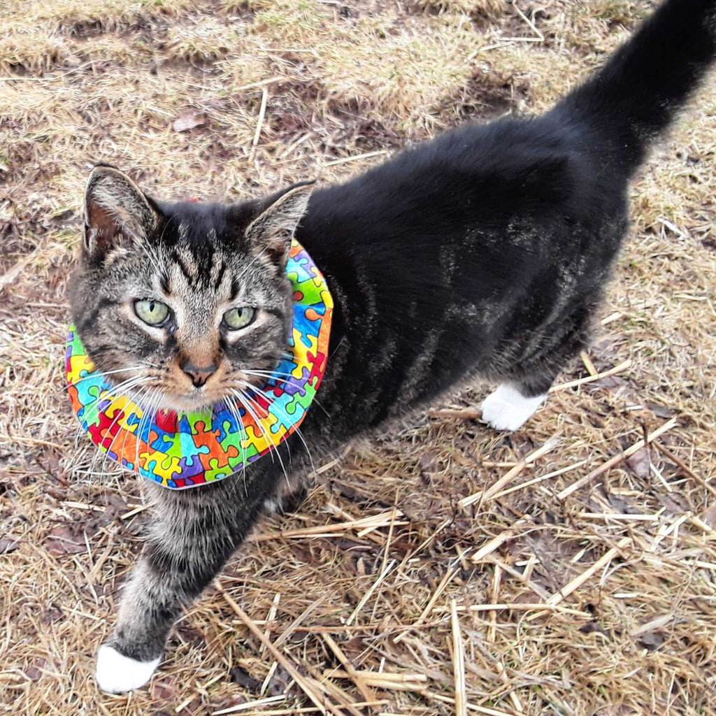 Puzzle Birdsbesafe ® Collar Cover