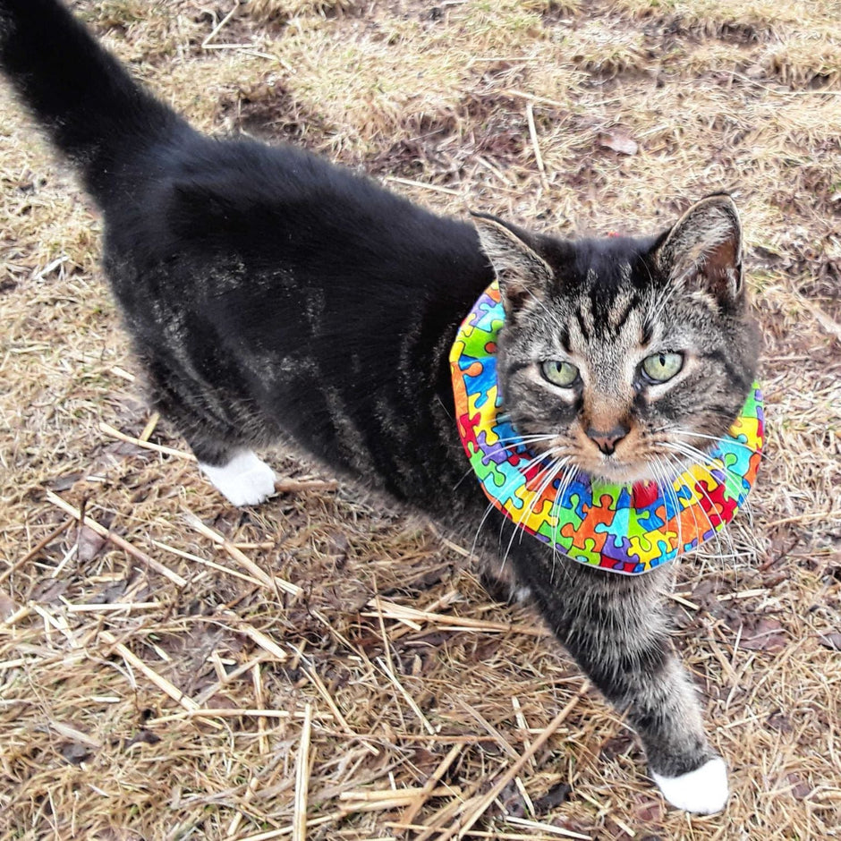 3 Set Birdsbesafe Covers + 1 Breakaway Cat Collar