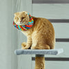 4 Set Birdsbesafe Covers + 1 Breakaway Cat Collar