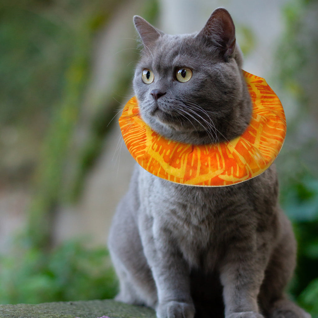 Batik Birdsbesafe® Collar Cover