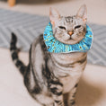 Load image into Gallery viewer, Bejeweled Stripes Birdsbesafe® Collar Cover
