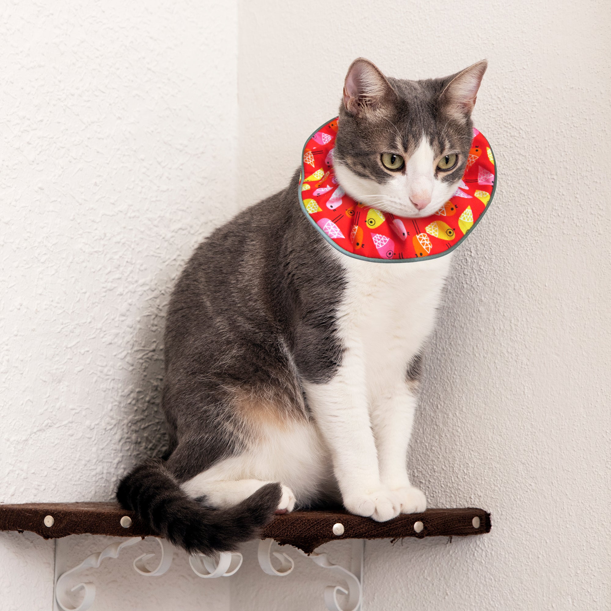 Birdies design Birdsbesafe cat collar cover 