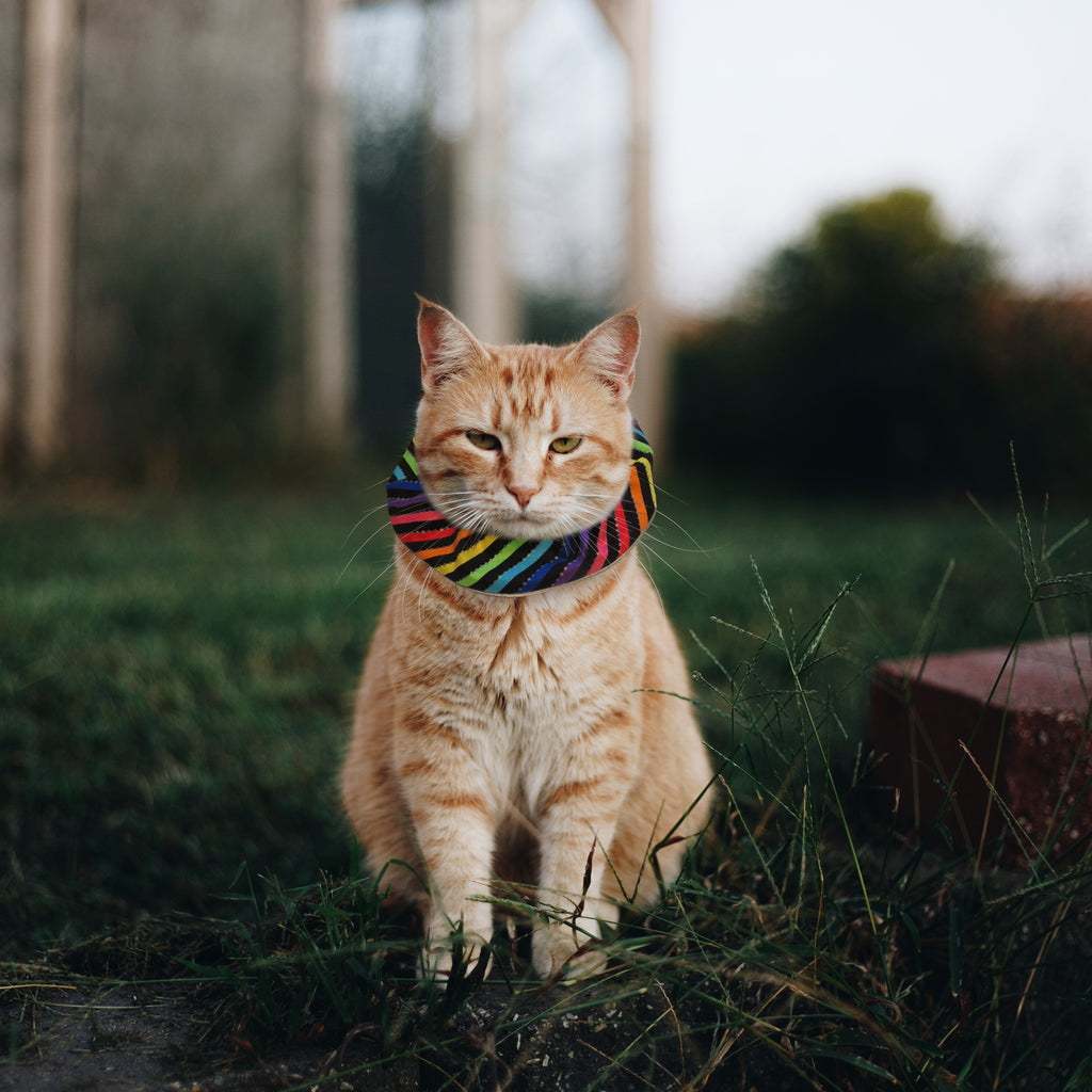 Bright Stripes Birdsbesafe® Collar Cover