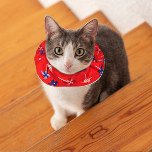 Bright Swirls: Birdsbesafe® Collar Cover