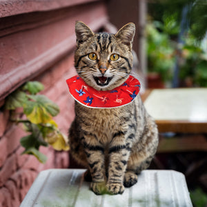 Bright Swirls: Birdsbesafe® Collar Cover