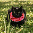 Load image into Gallery viewer, Candy Cane Birdsbesafe ® Collar Cover
