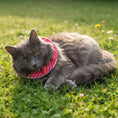 Load image into Gallery viewer, Candy Cane Birdsbesafe ® Collar Cover - Long-Haired Cat Style
