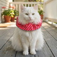 Load image into Gallery viewer, Candy Cane Birdsbesafe ® Collar Cover - Long-Haired Cat Style
