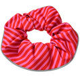 Load image into Gallery viewer, Candy Cane Birdsbesafe ® Collar Cover
