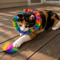 Load image into Gallery viewer, Cassidy Tie-Dye Birdsbesafe ® Collar Cover
