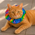 Load image into Gallery viewer, Cassidy Tie-Dye Birdsbesafe ® Collar Cover
