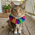 Load image into Gallery viewer, Cosmic Stripes Birdsbesafe ® Collar Cover
