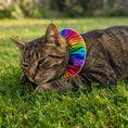 Load image into Gallery viewer, Cosmic Stripes Birdsbesafe ® Collar Cover
