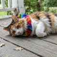 Load image into Gallery viewer, Cosmic Stripes Birdsbesafe ® Collar Cover - Long-Haired Cat Style
