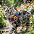 Load image into Gallery viewer, Cosmic Stripes Birdsbesafe ® Collar Cover - Long-Haired Cat Style
