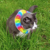 Crayon Birdsbesafe® Collar Cover - Long-haired Cat Style