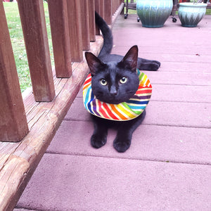 Diagonal Stripes Birdsbesafe® Collar Cover