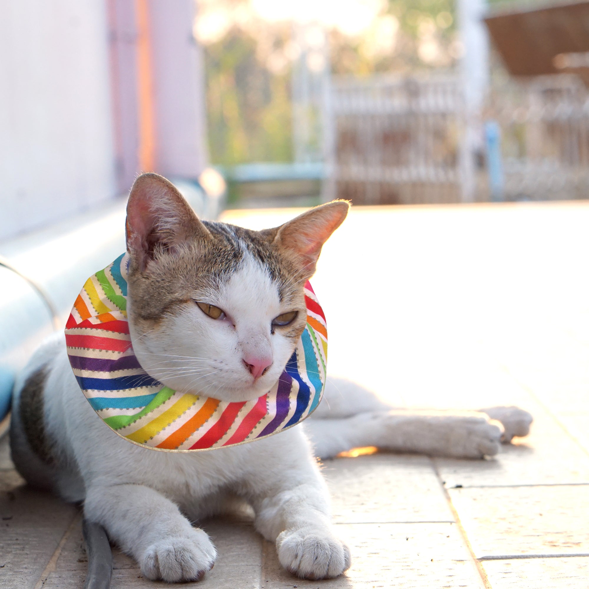 Diagonal Stripes Birdsbesafe® Collar Cover