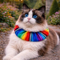 Load image into Gallery viewer, Frida Blanket Birdsbesafe ® Collar Cover - Long-Haired Cat Style
